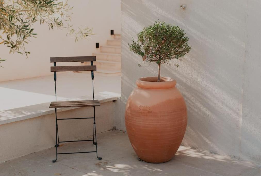 Terre Ugo - Studio Campagne Aixoise #6 Aix-en-Provence Extérieur photo